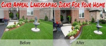Curb Appeal Landscaping Ideas For Your Home