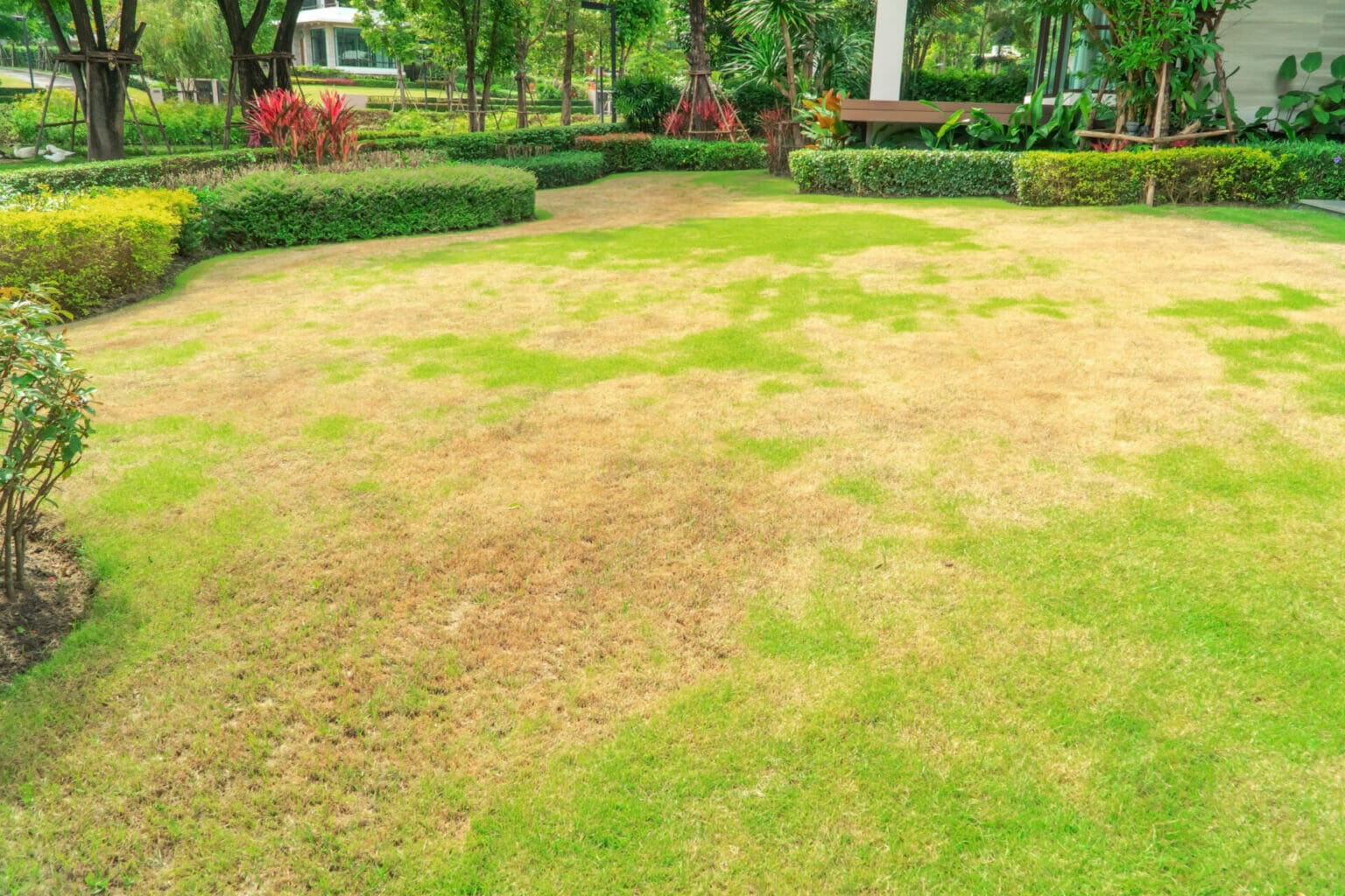 how-to-get-rid-of-brown-spots-in-your-lawn