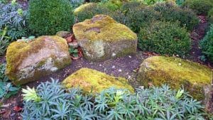 Pro Tips: Landscaping Secrets From The Professionals
