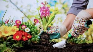 What skills do you learn from gardening?