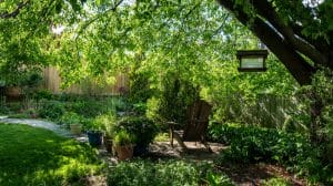 Urban Oasis Unveiled: Transform Concrete Jungles With Breathtaking Urban Landscaping