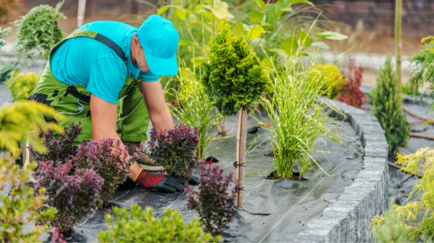 Effortless Garden Maintenance: Tips And Tricks To Keep Your Outdoor Haven Flourishing Year-Round