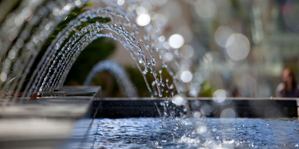 Water features in your garden